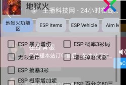 金铲铲直装【地狱火】辅助
